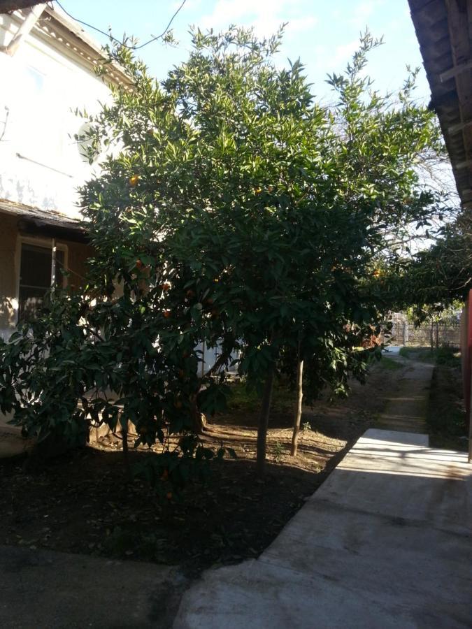 Guest House Yuzhnaya Palmira Pizunda Ngoại thất bức ảnh